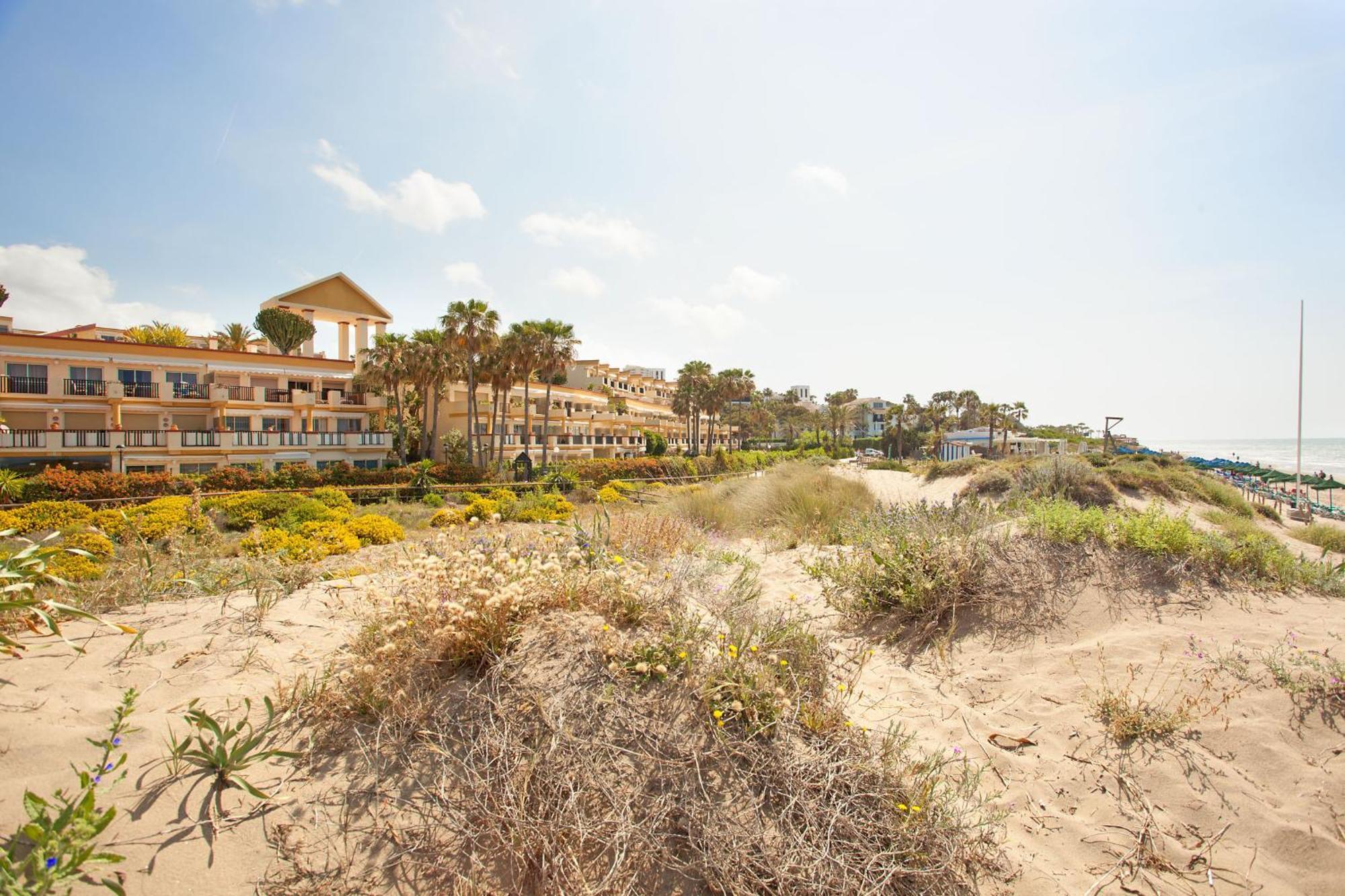 Apartment Romana Playa 555 *